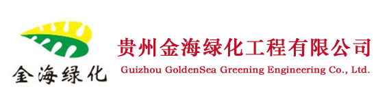 SITE_NAME